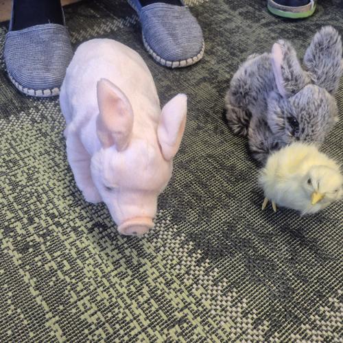 Tierschutz