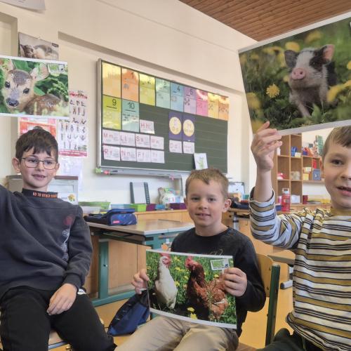 Tierschutz