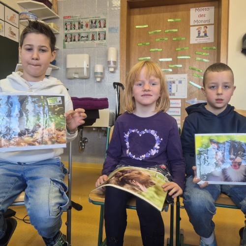 Tierschutz