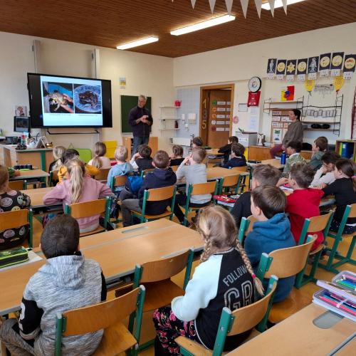 Frösche 2ab