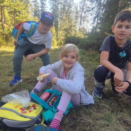 Wandertag der 2. Klassen