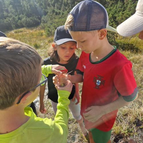 Wandertag der 2. Klassen