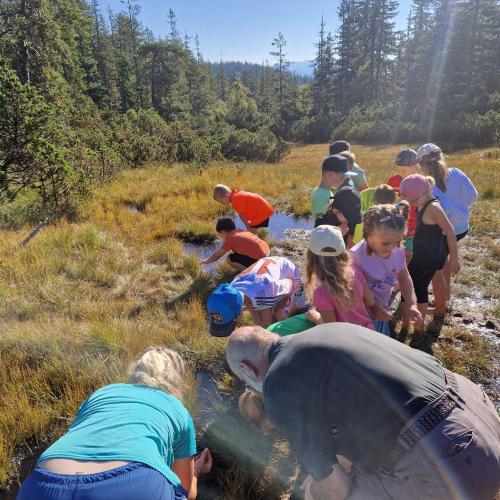 Wandertag der 2. Klassen