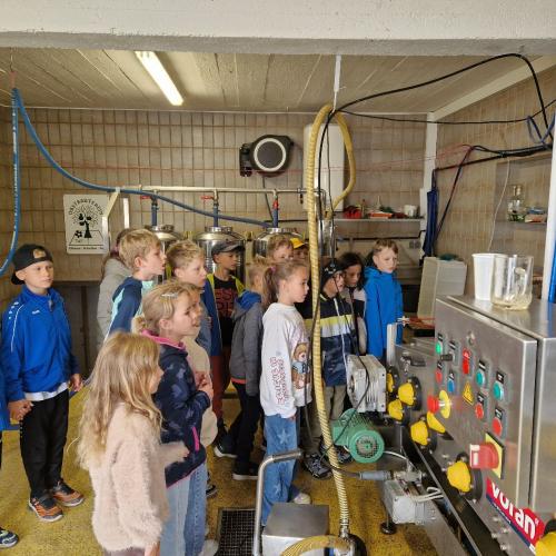 Apfelsaftpressen mit den 2. Klassen