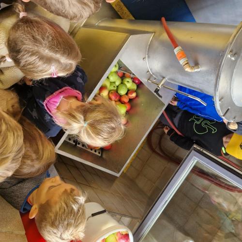 Apfelsaftpressen mit den 2. Klassen