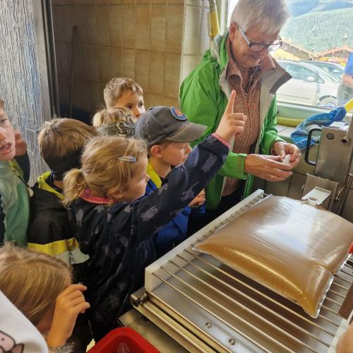 Apfelsaftpressen mit den 2. Klassen