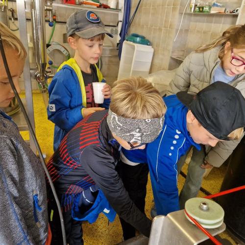 Apfelsaftpressen mit den 2. Klassen