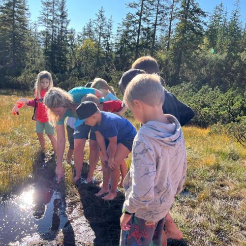 Wandertag der 2. Klassen