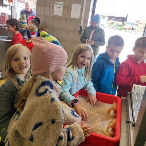 Apfelsaftpressen mit den 2. Klassen