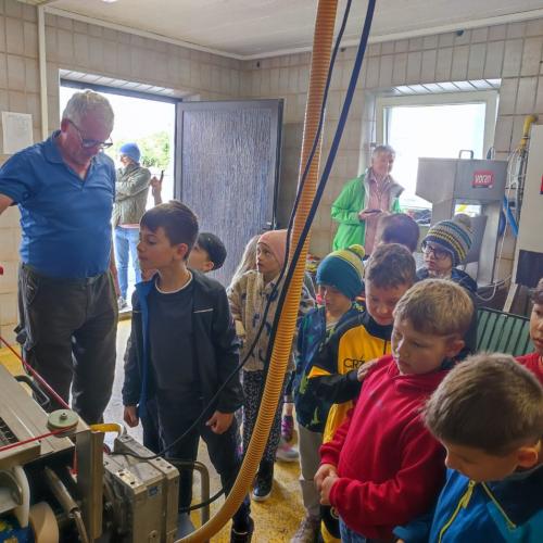 Apfelsaftpressen mit den 2. Klassen