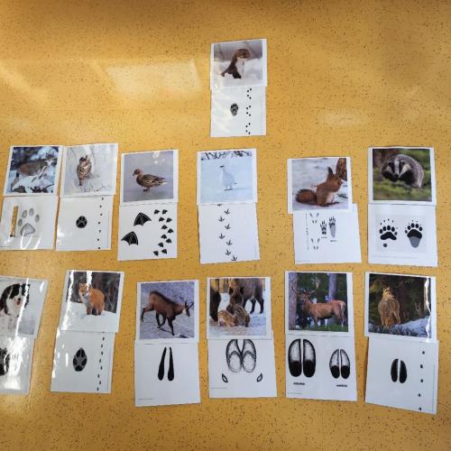 2a und 2b: Tierworkshop 