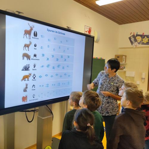 2a und 2b: Tierworkshop 