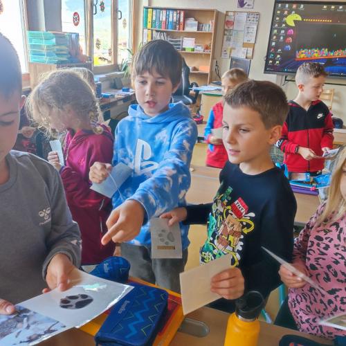 2a und 2b: Tierworkshop 