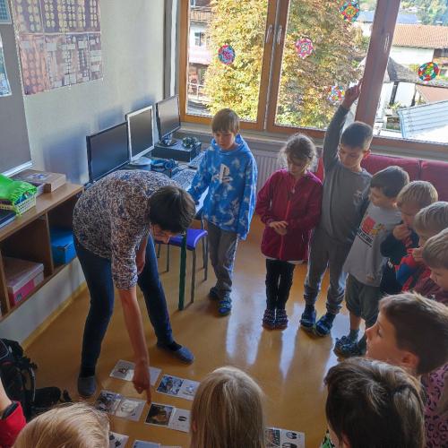 2a und 2b: Tierworkshop 