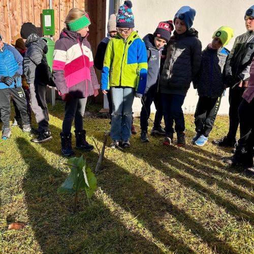 Natopia3aLuftundFeuer