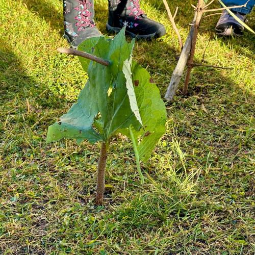 Natopia3aLuftundFeuer