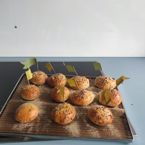 Schulworkshop „Bauernhof erleben“