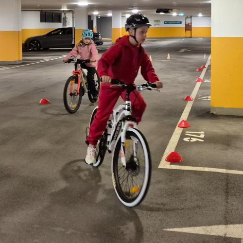 Pro Pedal 2ab