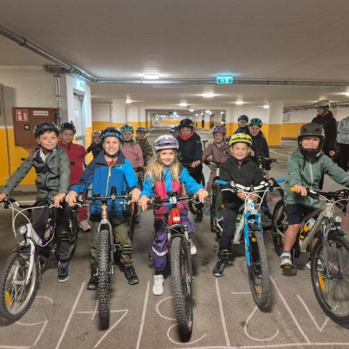 Pro Pedal 2ab