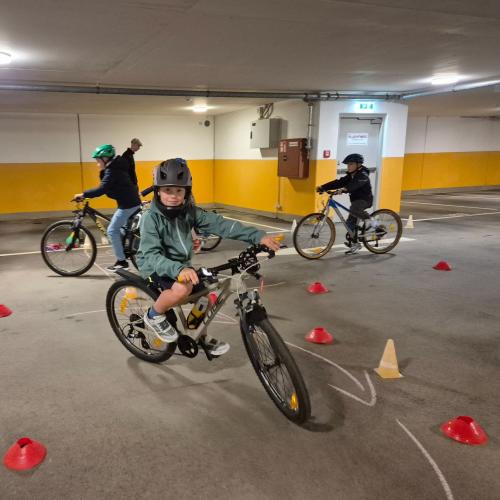 Pro Pedal 2ab