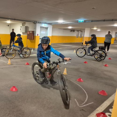 Pro Pedal 2ab