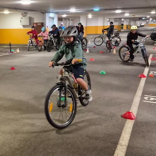 Pro Pedal 2ab