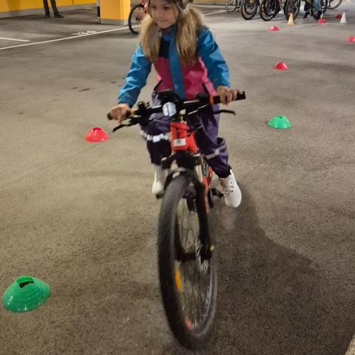 Pro Pedal 2ab