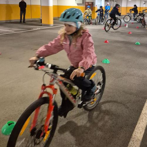 Pro Pedal 2ab