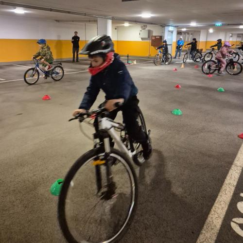 Pro Pedal 2ab