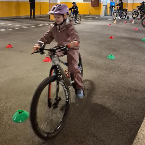 Pro Pedal 2ab