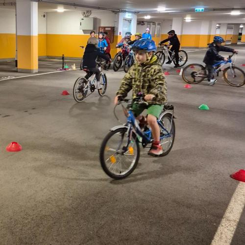 Pro Pedal 2ab