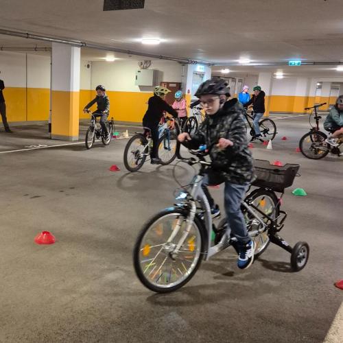 Pro Pedal 2ab