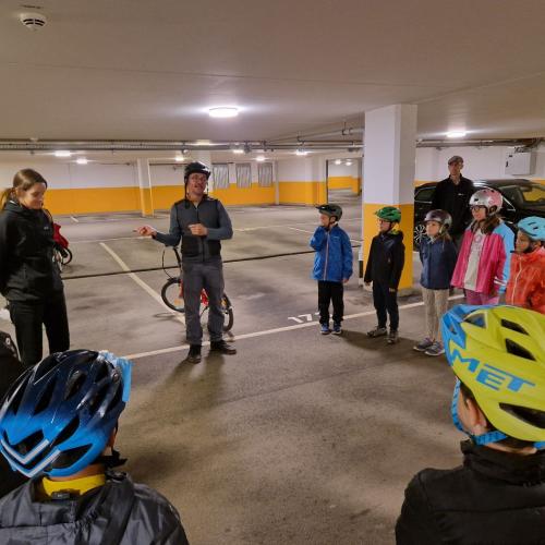 Pro Pedal 2ab
