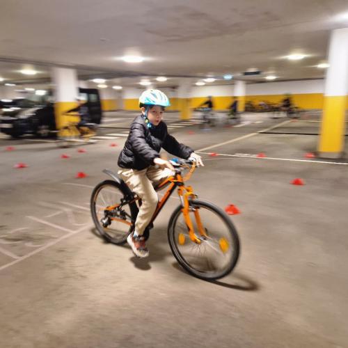 Pro Pedal 2ab