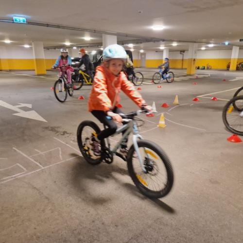 Pro Pedal 2ab