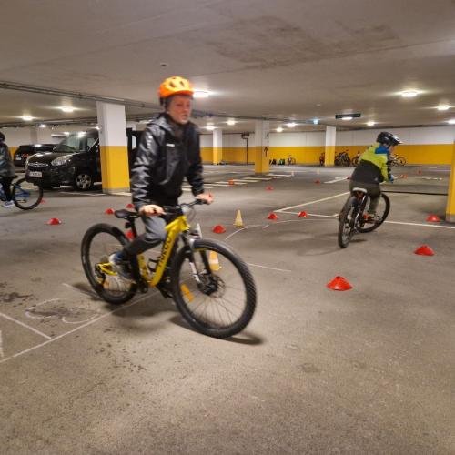 Pro Pedal 2ab