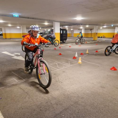 Pro Pedal 2ab