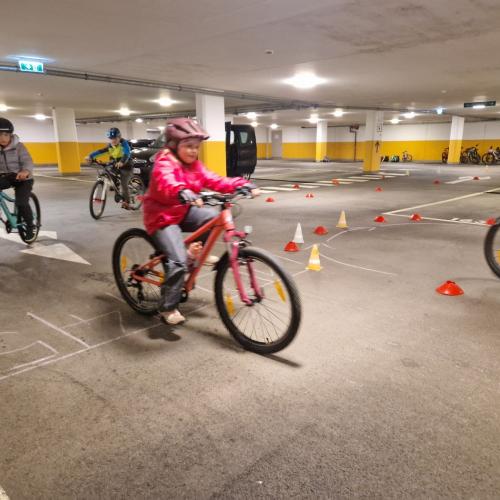 Pro Pedal 2ab