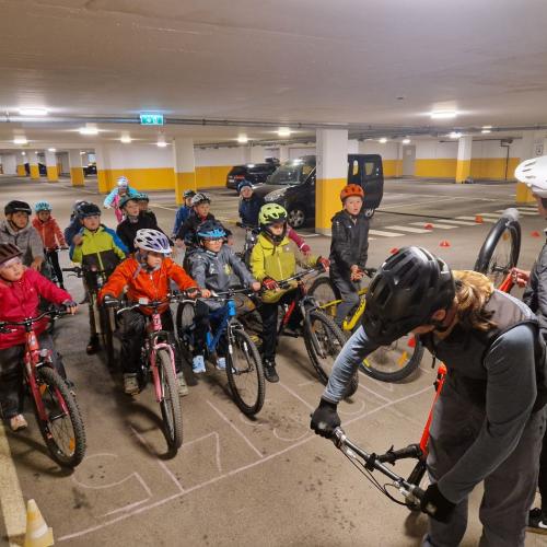 Pro Pedal 2ab