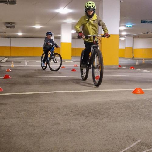 Pro Pedal 2ab