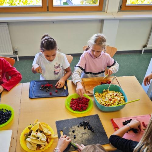 ProjektGesundheit4aHAKWÖRGL