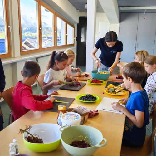 ProjektGesundheit4aHAKWÖRGL