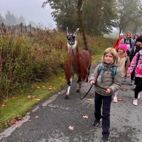 Lama2a
