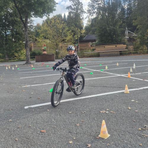 Pro Pedal 3ab