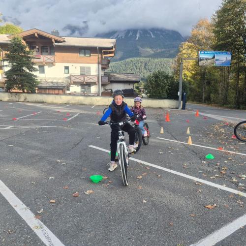 Pro Pedal 3ab