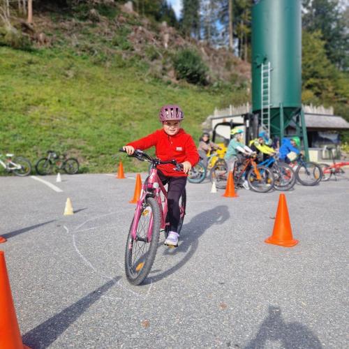 Pro Pedal 3ab