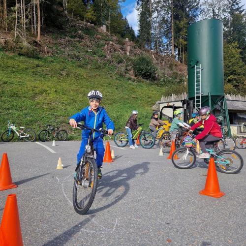 Pro Pedal 3ab