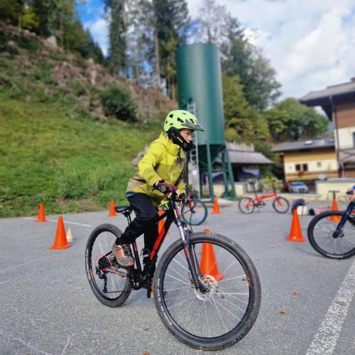 Pro Pedal 3ab