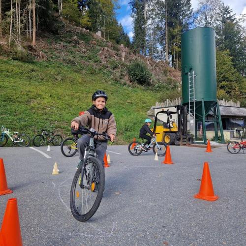 Pro Pedal 3ab