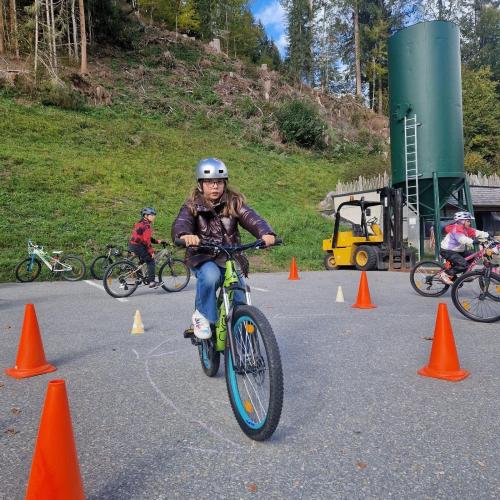Pro Pedal 3ab